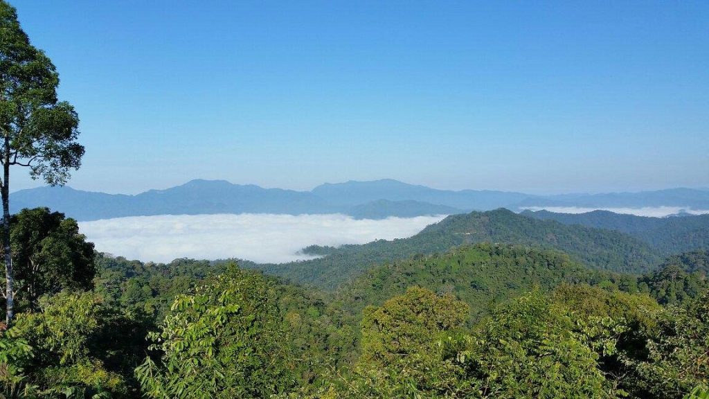 Forest and reservoir scenery at Kaeng Krachan